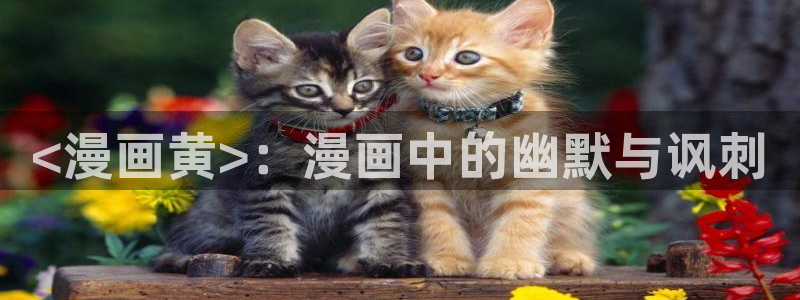 韩漫日漫漫画免费阅读看漫画下拉