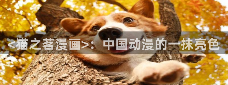 韩漫阅读网站