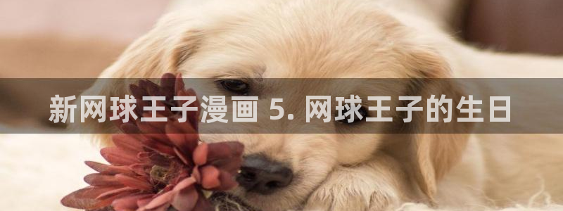韩漫之家网站