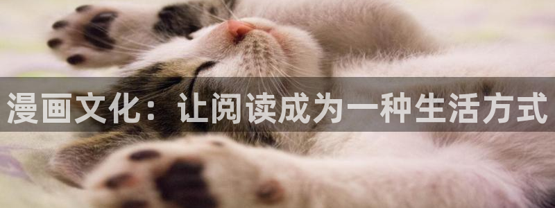 韩漫杨乔安是什么漫画里的