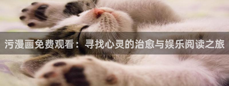 91韩漫网站入口