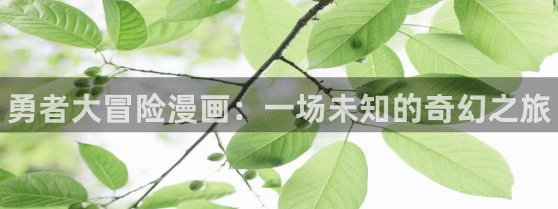 cc韩漫