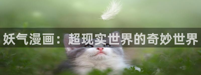 漫蛙manwa韩漫官网入口：妖气漫画：超现实世界的奇妙世界