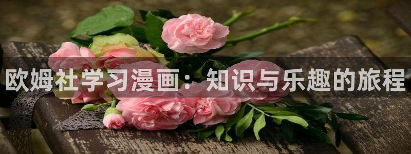 美丽新世界韩漫漫画大全：欧姆社学习漫画：知识与乐趣的旅程